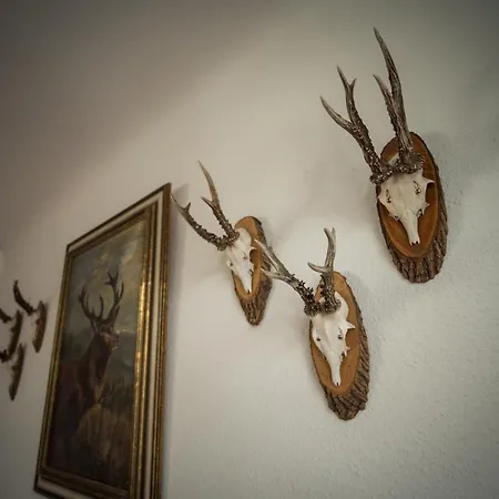 Hotel Gasthof Sonne 3*